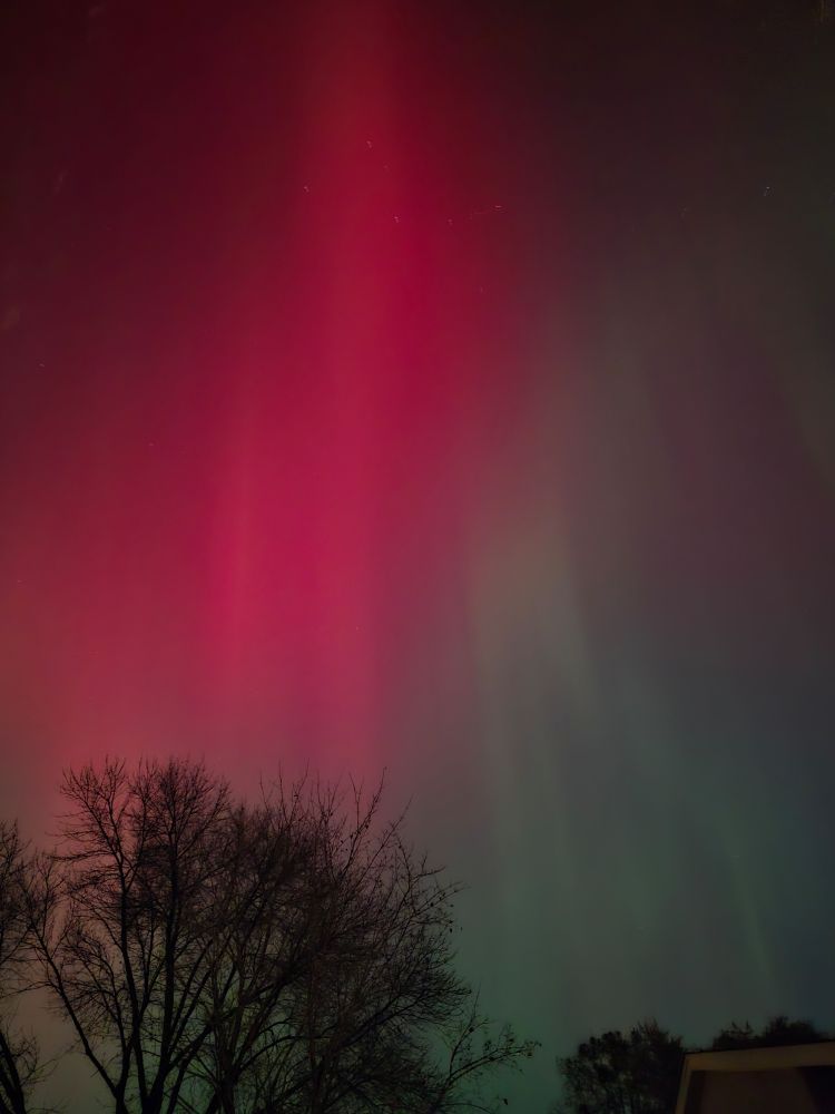 The aurora borealis. Reds and greens over trees 
