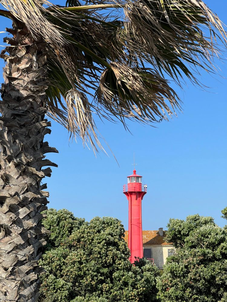 A red lighthouse poking out of trees with a palm tree on the left side of the screen