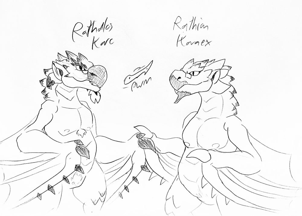 Me as a Rathalos and my boyfriend as a Rathian