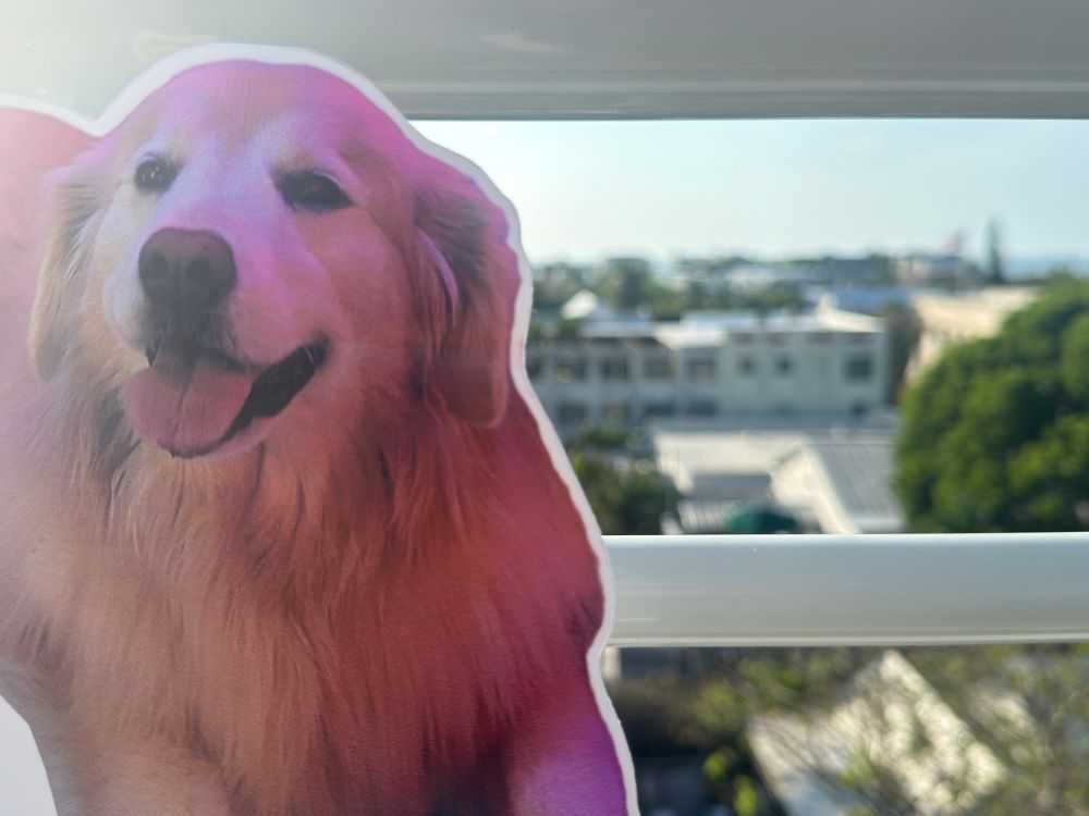 Cardboard cutout of Venkman, a Golden Retriever, with sunset in the background. 