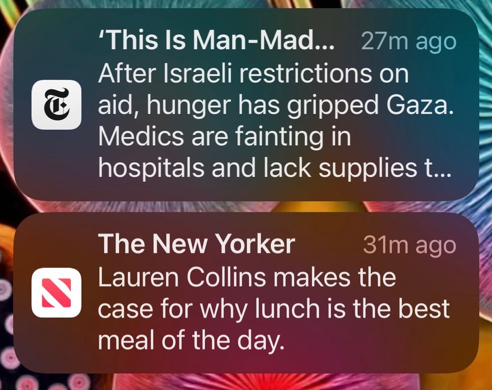 Juxtaposition of two “news” articles in my notifications today. The first one is how Medics are fainting from hunger in Gaza. The second is a writer making the case for why lunch is the best meal of the day. My god. 