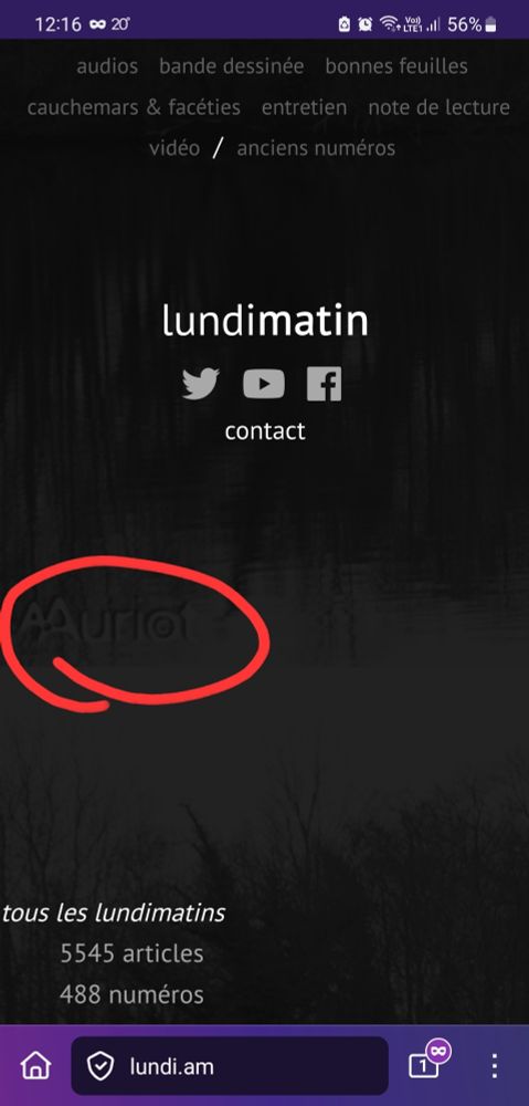 Capture d'écran faite à l'instant de l'arrière plan du site : on voit toujours la photo en noir et blanc de la cabane flottante de la zad de Notre-Dame-des-Landes prise par Alexandre Auriot dont ont voit très distinctement le filigrane. 