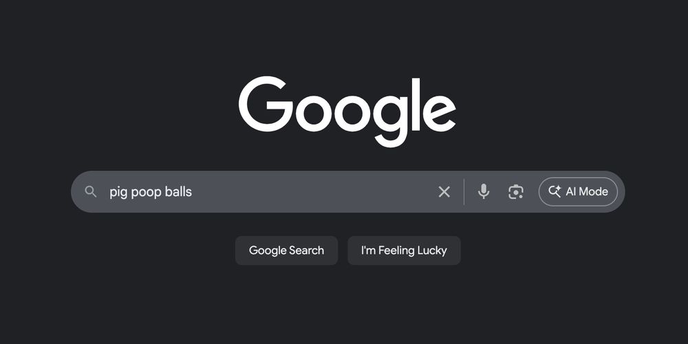 a google search with 'pig poop balls' in the search box