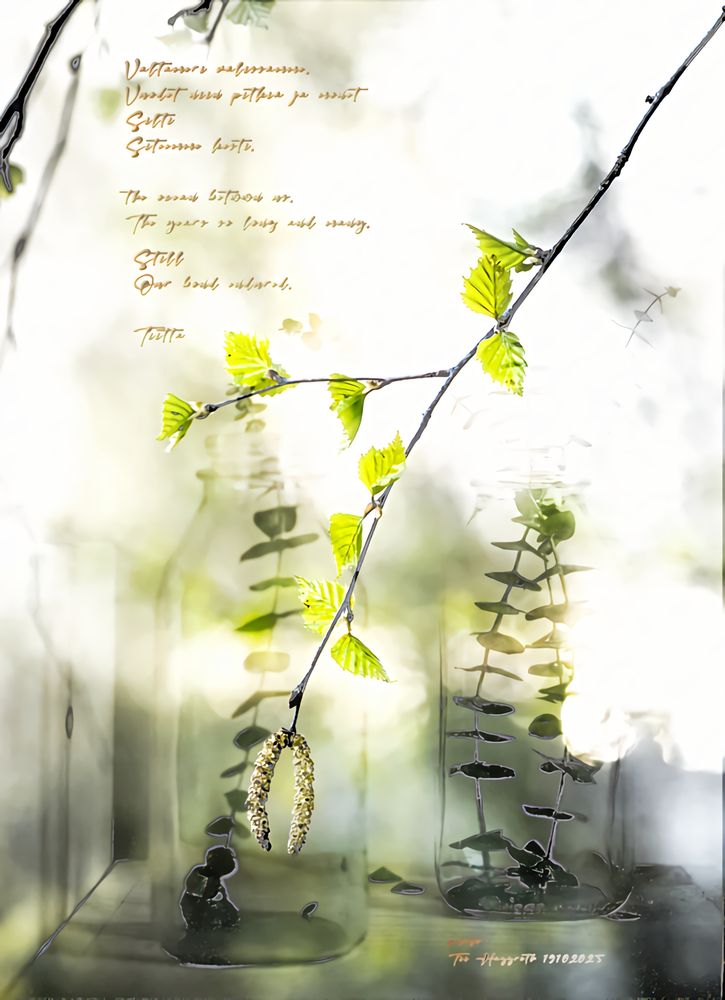 Birch twig, eucalyptus twigs