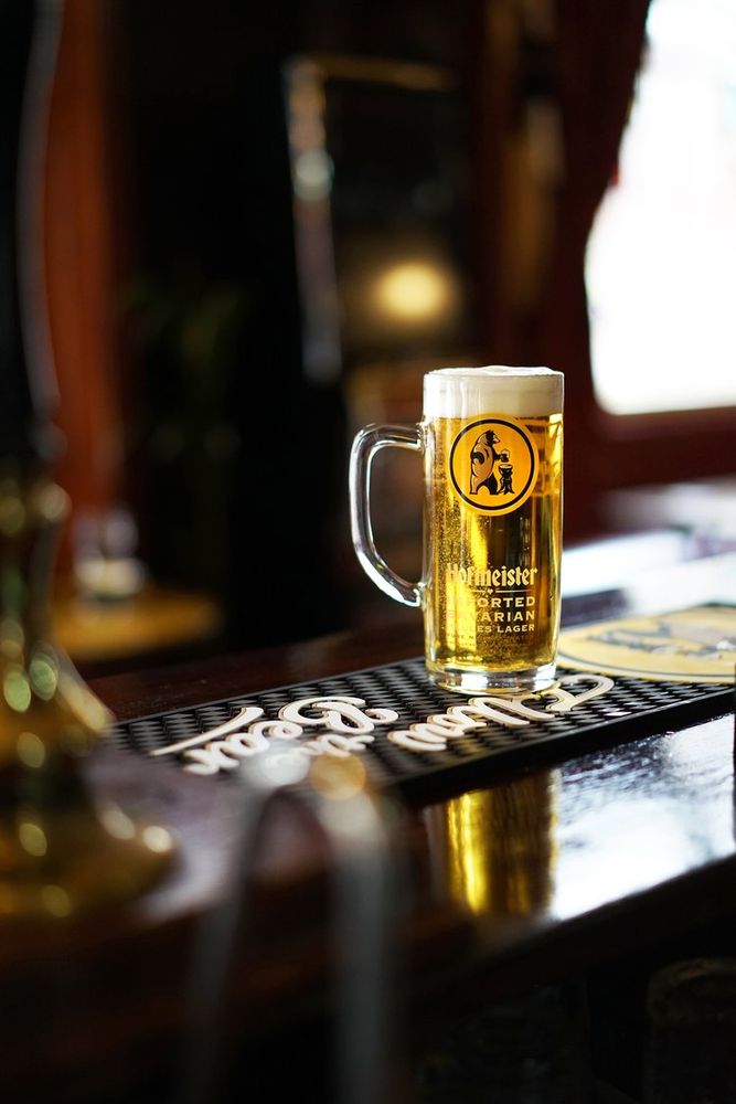 A pint of hofmeister lager in a tankard on a bar top