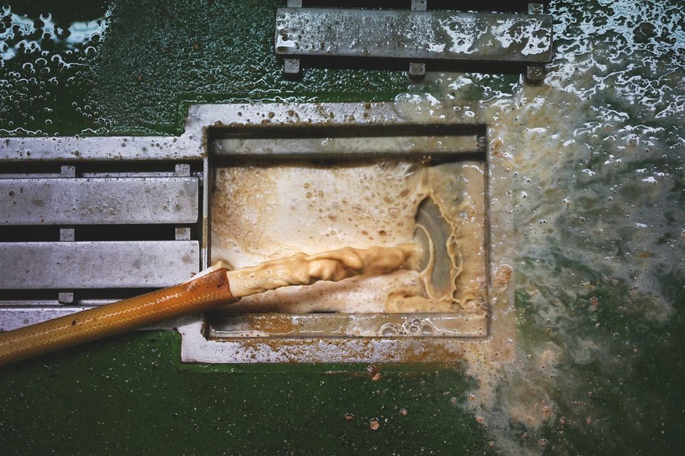 A hosepipe pouring yeast slurry into a drain at Neptune Brewery, Liverpool. 