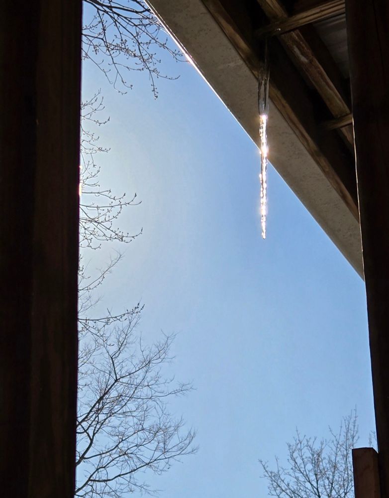 An icicle shines in the sunlight.