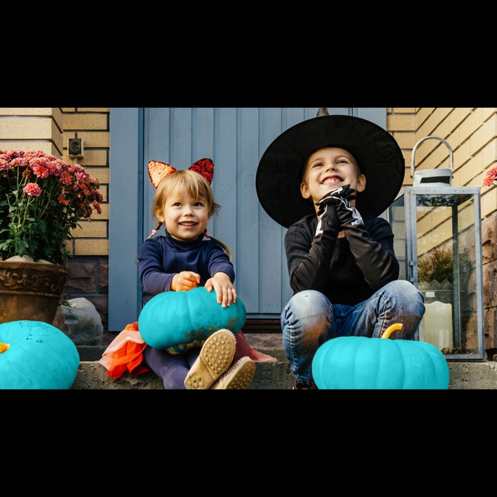 Teal Pumpkin Project