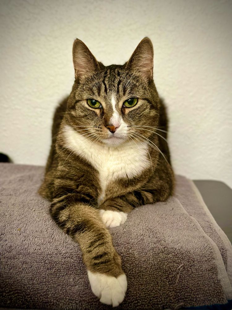 She is beauty she is grace. 