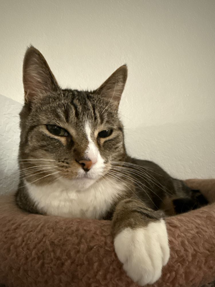 Meows office hours are closed, for what could possible be important enough to disturb her. 