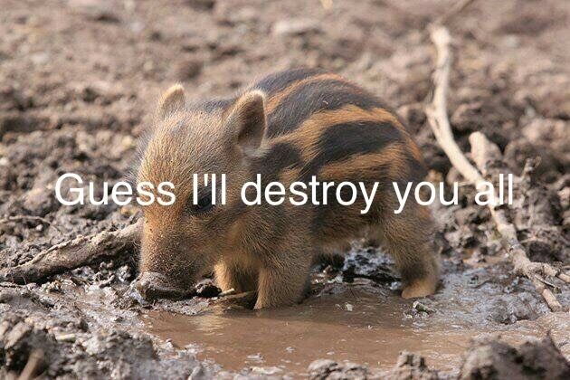 photo of a baby striped boar in a mud puddle superimposed with the line "guess I'll destroy you all" 