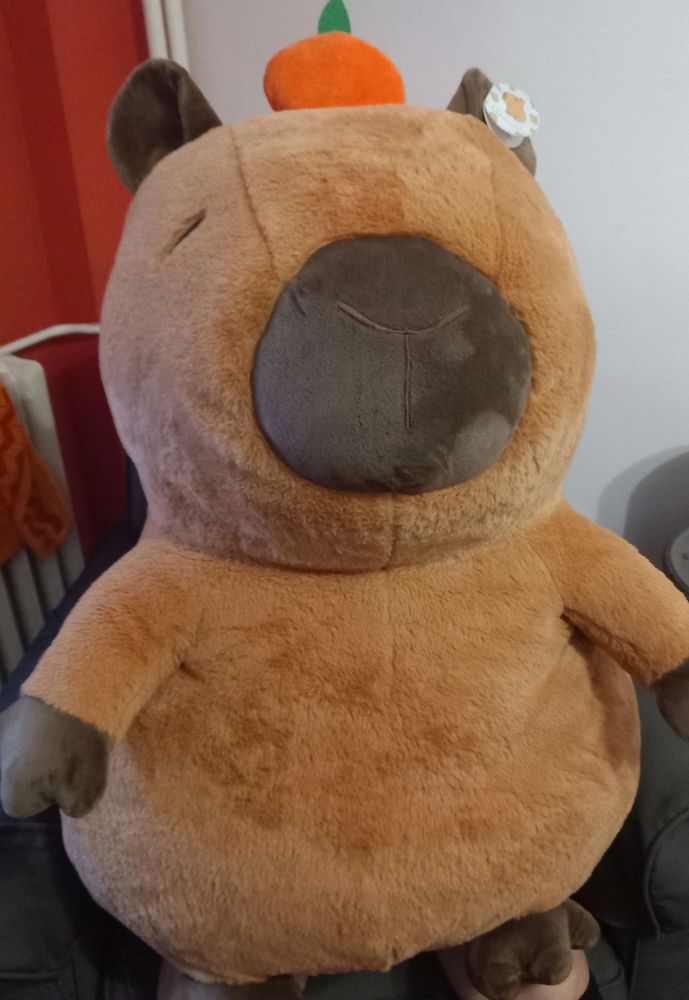 Massive capybara plushie