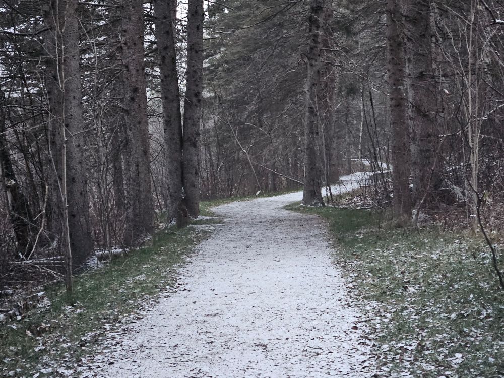 The thinly snow covered Cattail trail in Mapleton Park.