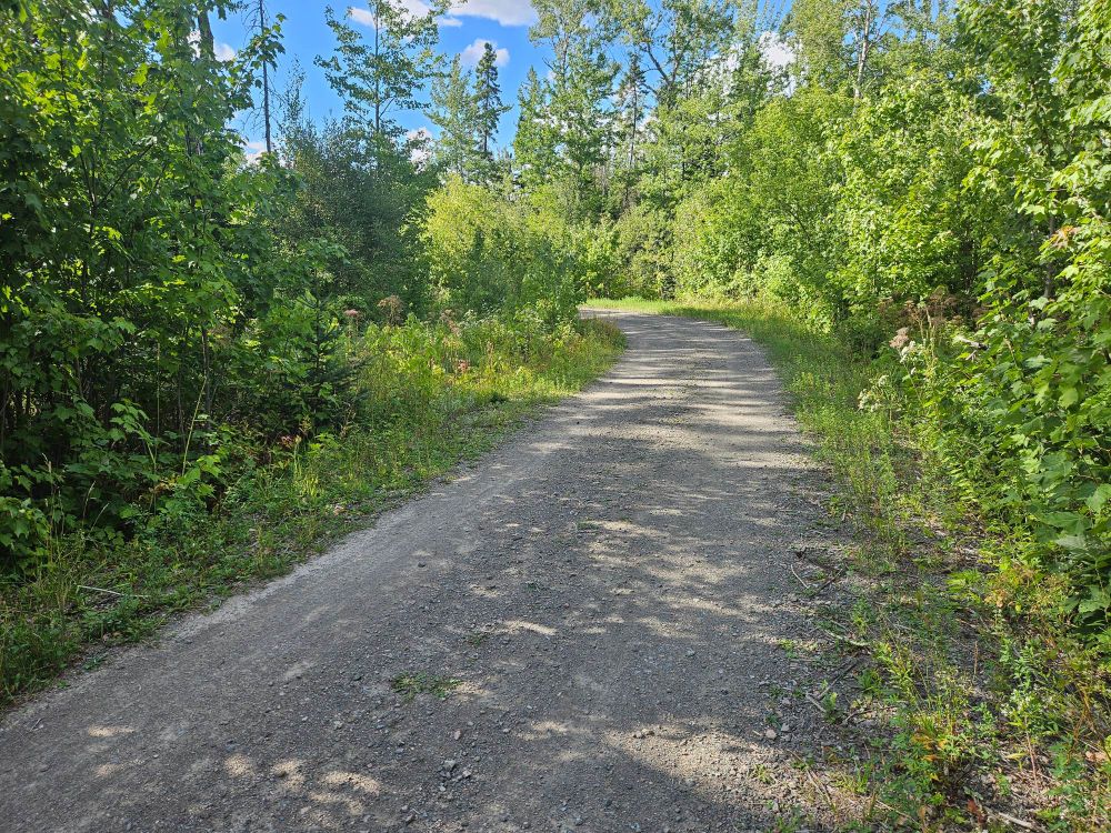 The service road in the vision lands between Morton Avenue & Leopold Belliveau Dr. It's a gravel road with trees on both sides. The road curves left in the distance.
