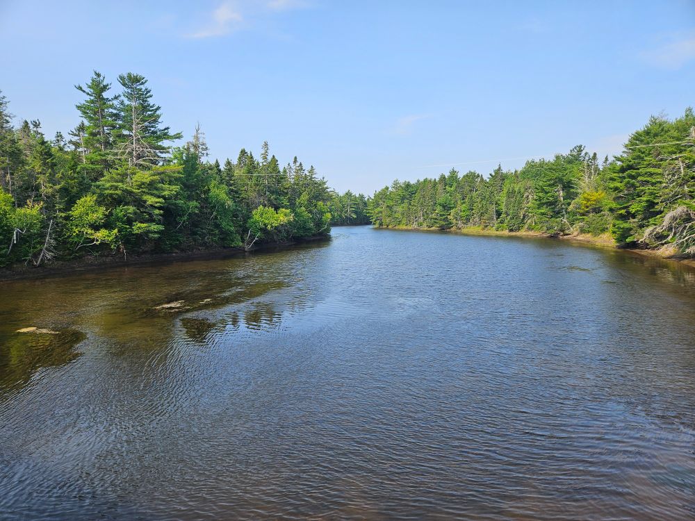 Looking upriver of the Major Kollock Creek in Kouchibouguac National Park.