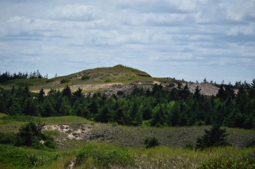 Parabolic dune in PEI National Park Greenwich.