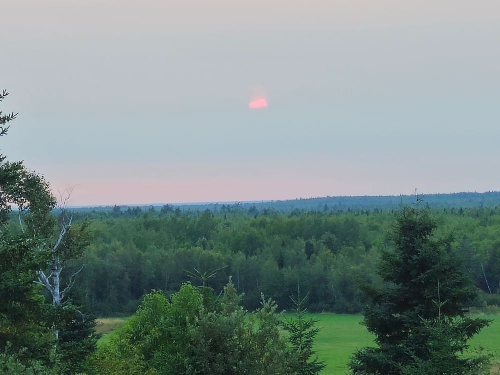 The red sun over the forest starting to hide behind haze.