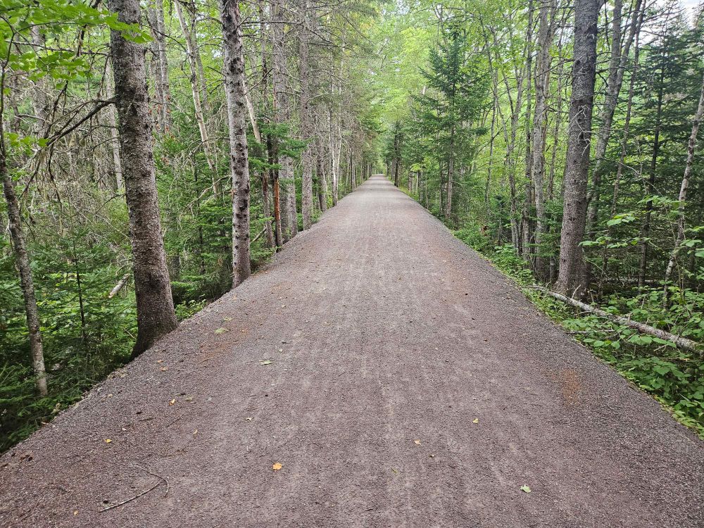 The Bouctouche line trail. This is a former railroad line, hence very straight. 