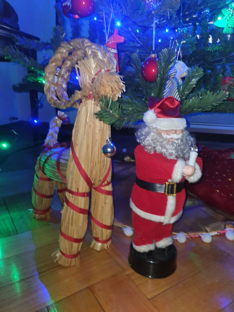 Gävle Goat and Santa hanging out under the Christmas tree 
