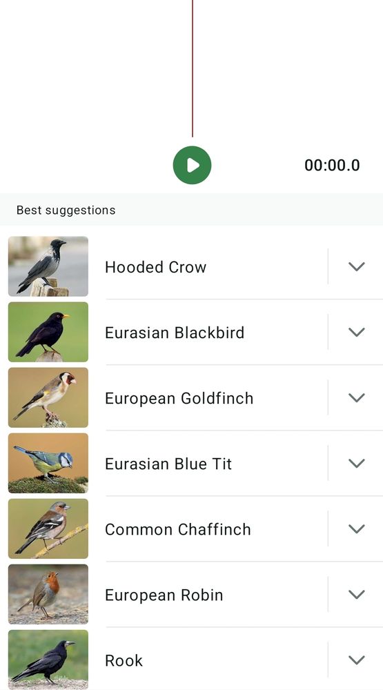 Merlin app screenshot continued. Hooded crow, blackbird, goldfinch, blue tit, chaffinch, Robin, rook
