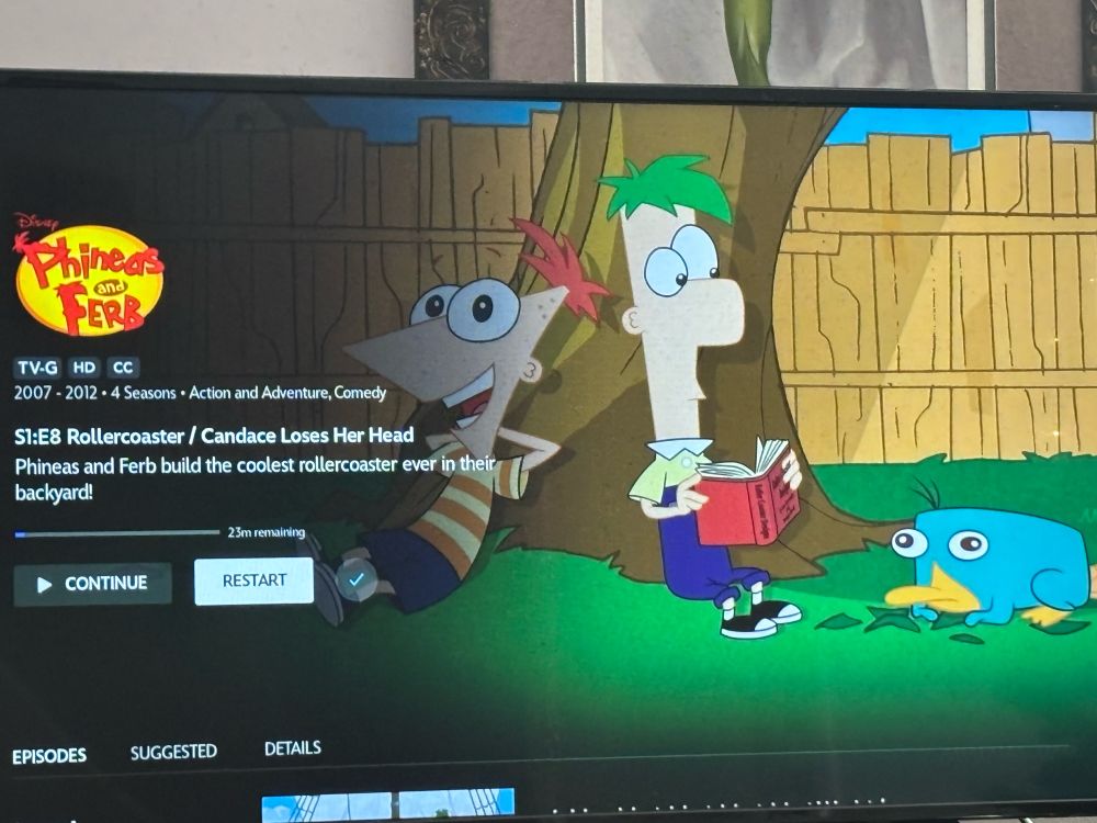 For some reason Phineas and Ferb’s first episode, Rollercoaster/Candace Loses Her Head, is labeled as the 8th episode of season 1 instead of the first. Did Disney re-shuffle the episodes.