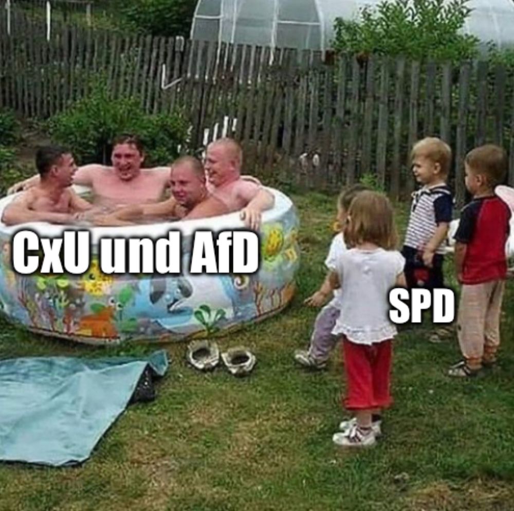 White Men Pool Party Meme:
Männer im Planschbecken: CxU und AfD
Kinder daneben: SPD
