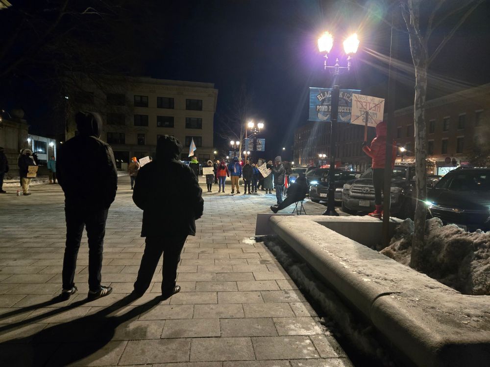 A group of protesters in a city square at night. Everyone is bundled up in winter coats. Some carry signs. 