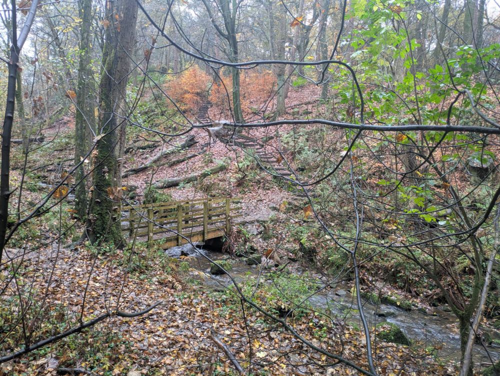 Walkway climbing up from a stream 