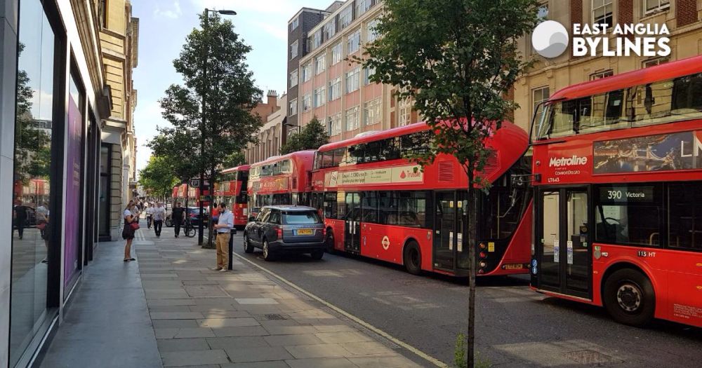 Buses are back