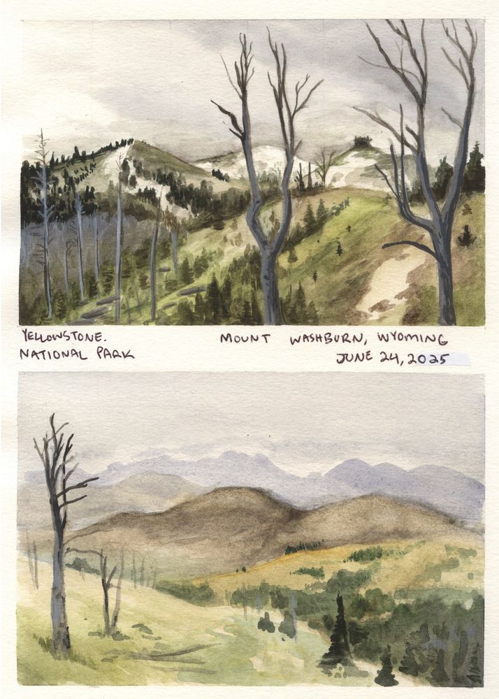 Two watercolor plein air sketches from the Mount Washburn trailhead in Yellowstone National Park. It's dated June 24, 2025.