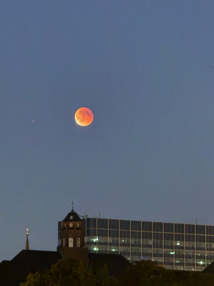 Richtig hübscher rot pinkfarbener Blutmond