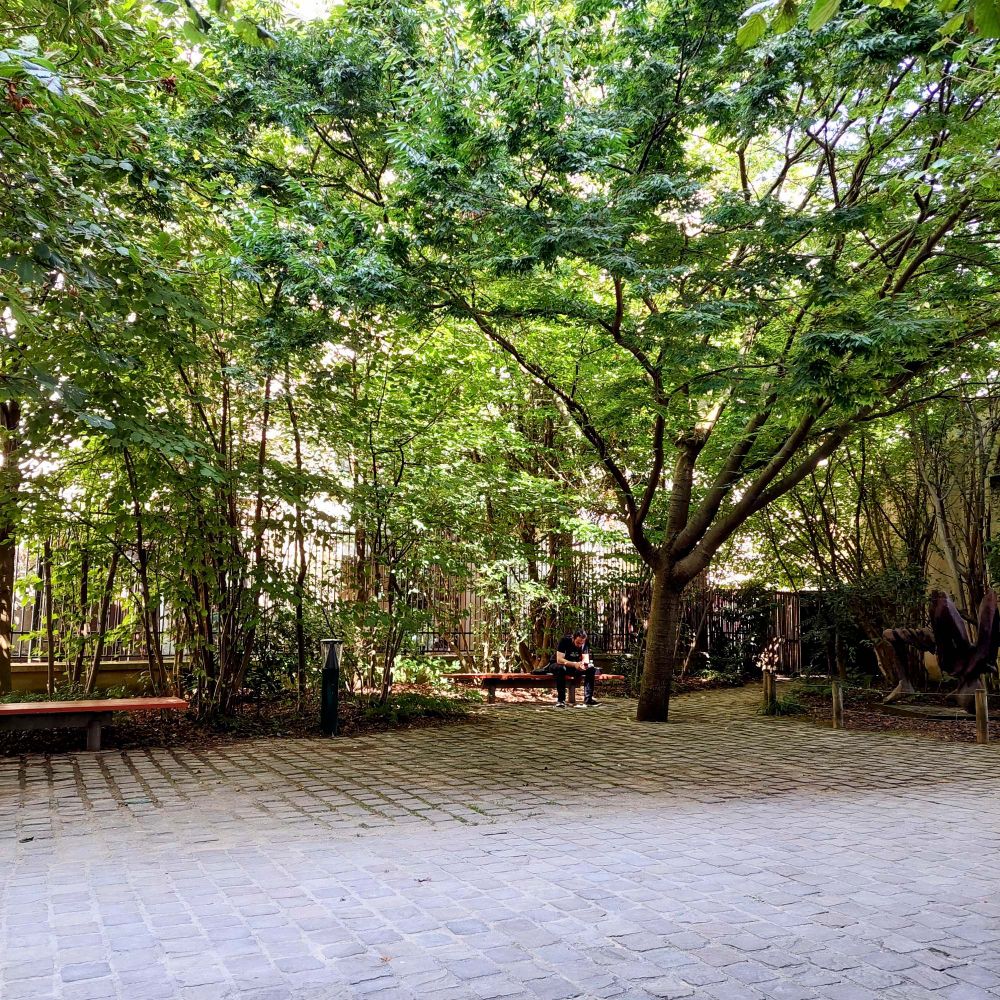 A tree covered section in the shot. A man sits on a bench in the shade looking at his phone.