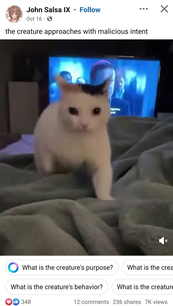 image of a cat stepping aggresively toward the camera, with the caption "the creature approaches with malicious intent". AI suggestions beneath it recommend "What is the creature's purpose?", "What is the creature's behavior?", and additional options hidden by the image crop.