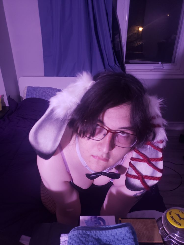 Marie, they're wearing their bunny suit and lop ears while staring up at the viewer 