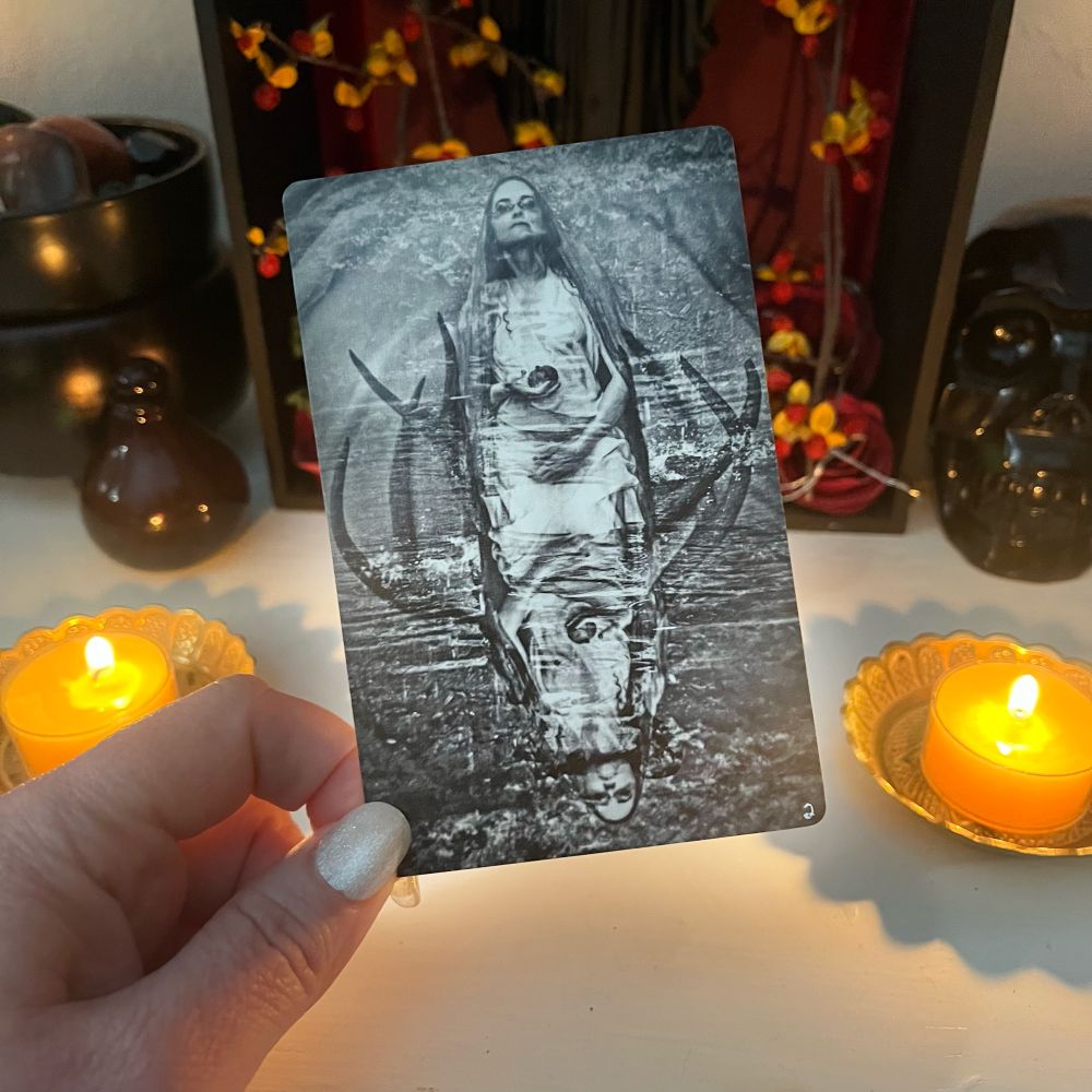 The high priestess from the circle of doors tarot 