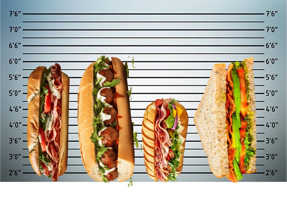 Four sandwiches standing in a police lineup. 