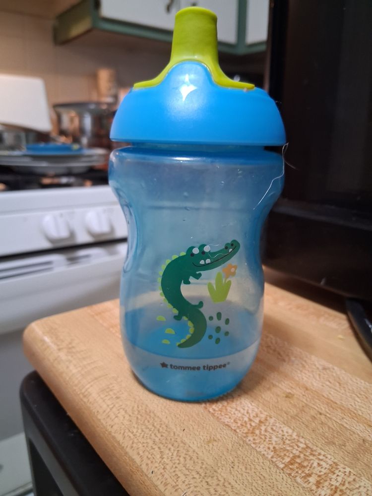 A blue sipping cup for a toddler that depicts an alligator. The alligator looks suspiciously like Trogdor the Burninator as a baby. This mini Trogdor has the same "S" different "S" small but menacing teeth an consummate "v"s. Admittedly they are "u"s and the arm is not buff. But it's clearly baby Trogdor. Now go find some thatched roof cottages.