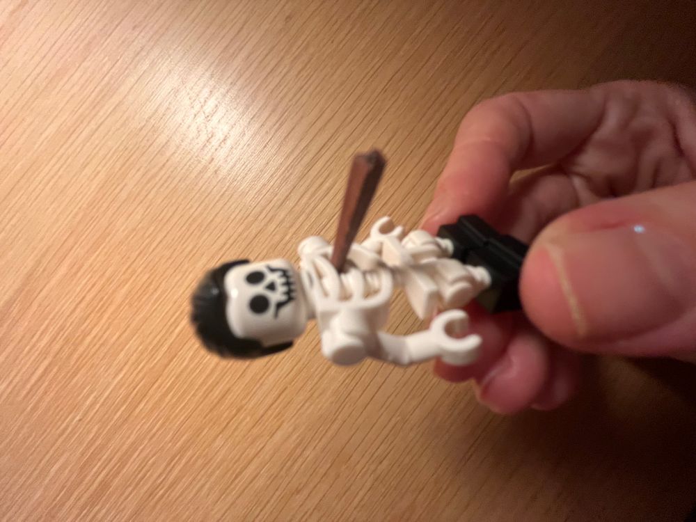 Lego skeleton with great hair (black, widow’s peak) and a wooden stake through its ribs