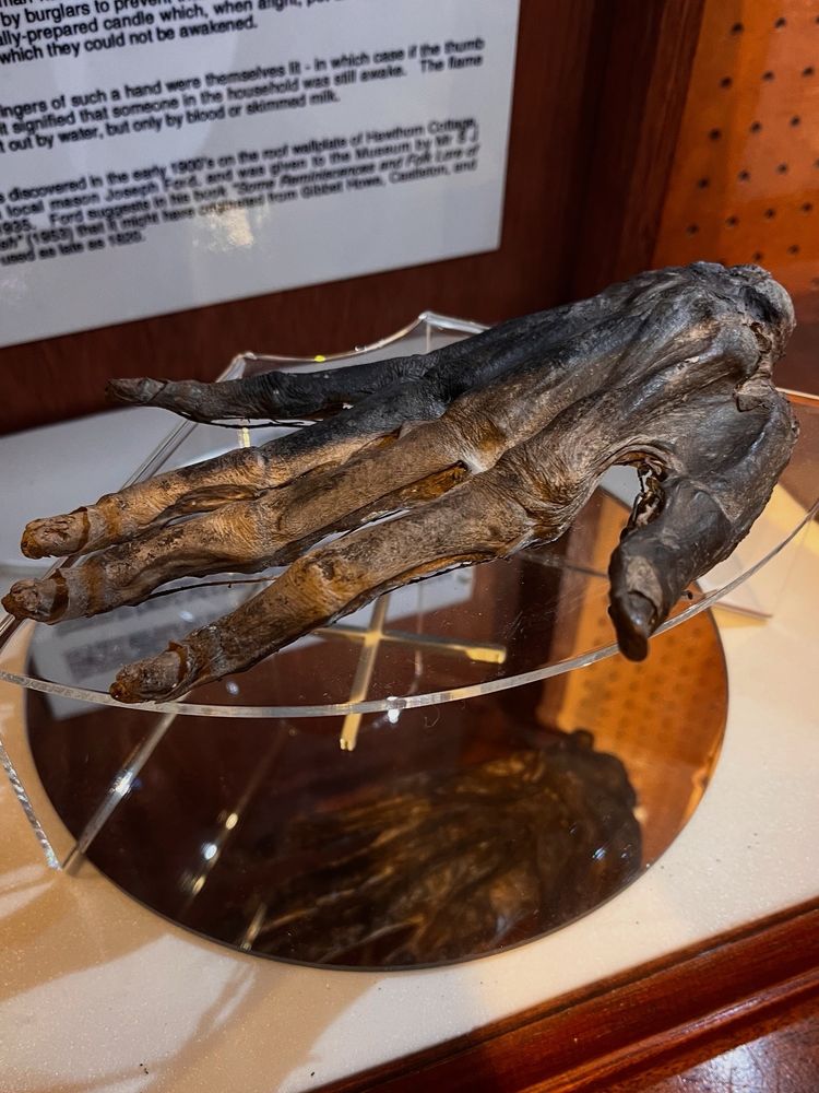 Hand of Glory at Whitby Museum