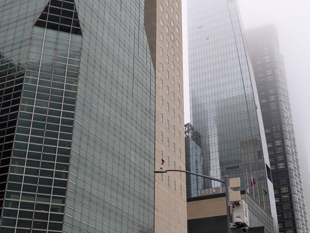 A photo of an American Robin perched on a lamp post, with skyscrapers rising into the fog in the background.