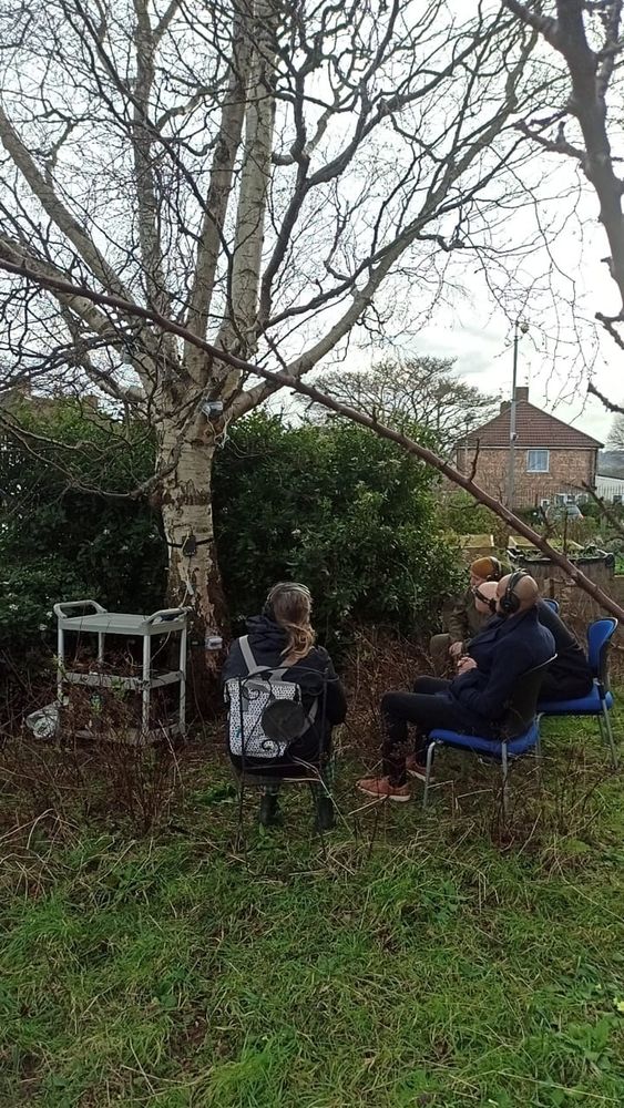 Four people sitting around a tree with headphones.