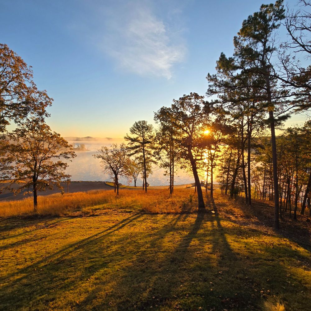 A nature scene of a lake with trees and the sunrise. 