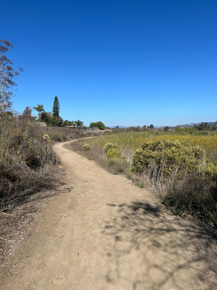 View of my running trail. A wide dirt path lined with foliage which is green, yellow, and brown. 
