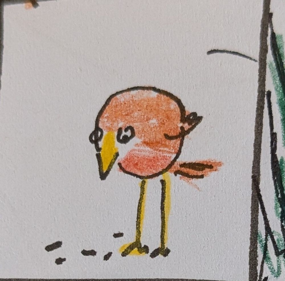 Little bird 