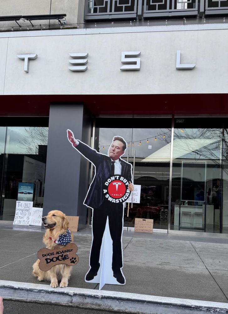 Two figures on the sidewalk in front of the tesla showroom. One is a cardboard cutout of musk heiling. He holds a sign that says “don’t buy a swasticar”. Next to him is a lovely golden retriever wearing a sign that says “dogs against doge”. 