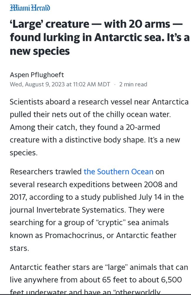 'Large' creature - with 20 arms - found lurking in Antarctic sea. It's a new species

Scientists aboard a research vessel near Antarctica pulled their nets out of the chilly ocean water. Among their catch, they found a 20-armed creature with a distinctive body shape. It’s a new species.

Researchers trawled the Southern Ocean on several research expeditions between 2008 and 2017, according to a study published July 14 in the journal Invertebrate Systematics. They were searching for a group of “cryptic” sea animals known as Promachocrinus, or Antarctic feather stars.

Antarctic feather stars are “large” animals that can live anywhere from about 65 feet to about 6,500 feet underwater and have an “otherworldly appearance”