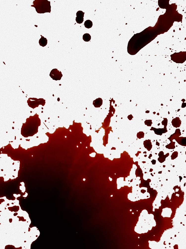 A photograph of blood pooling in the bottom of a bathtub.