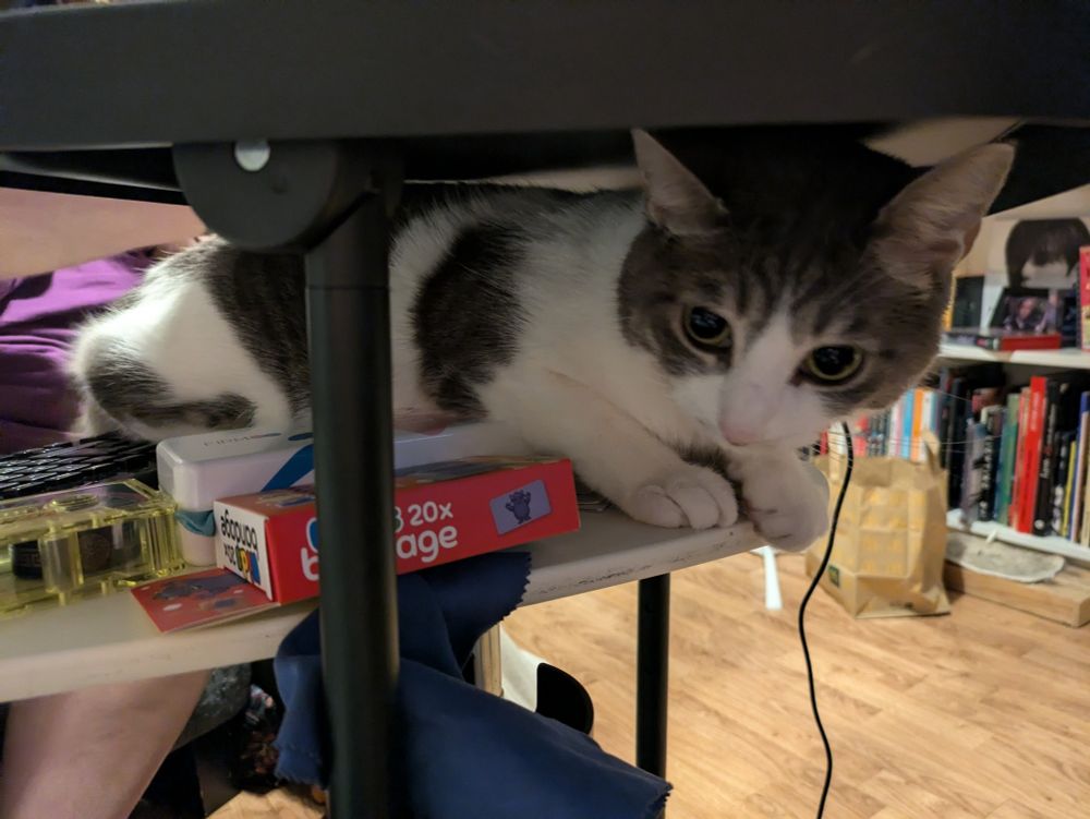 A grey and white cat lying on a keyboard and human stuff about to fall down. Not pictured: the stuff that already fell.