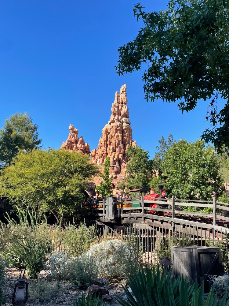 The wildest ride in the Wilderness coming across a bridge in front of big thunder mountain.  