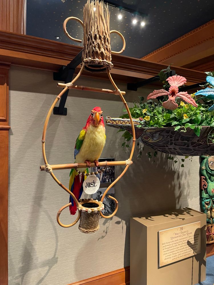 Tiki Room bird (Jose).  A functioning animatronic.  